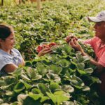 Fortalecimento da agricultura familiar impulsiona segurança alimentar e desenvolvimento rural