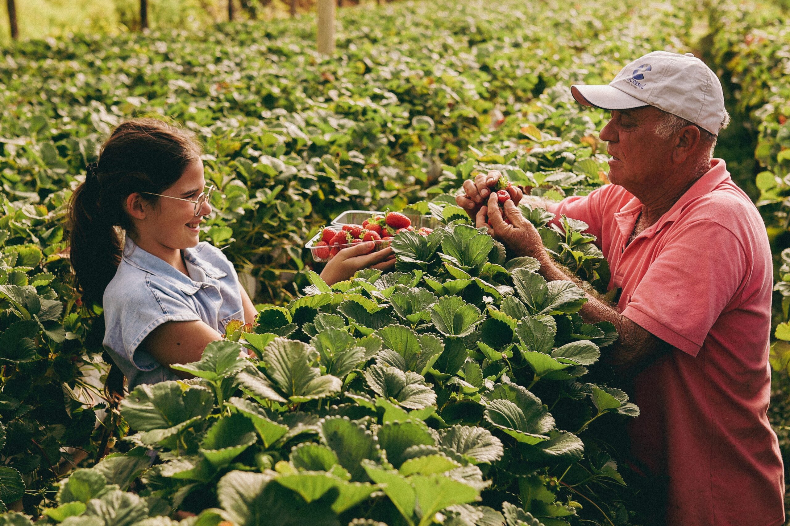 Fortalecimento da agricultura familiar impulsiona segurança alimentar e desenvolvimento rural